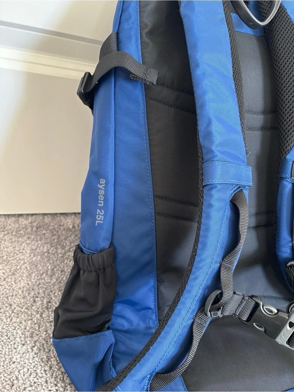 Patagonia Aysen 25L Over Should Backpack
